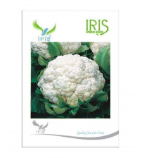 Iris F1 Cauliflower 15 Seeds